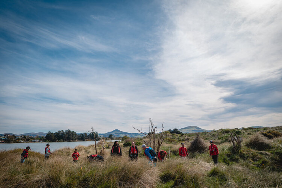 ATTRACTION Karitanema╠Äoritour 051 Dunedinnz