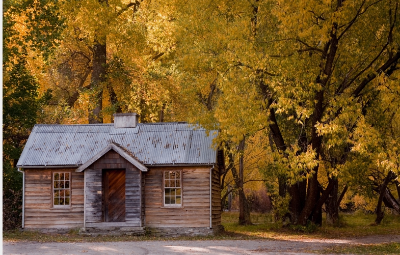 Old police cottage set under large trees with yellow leaves in autumn