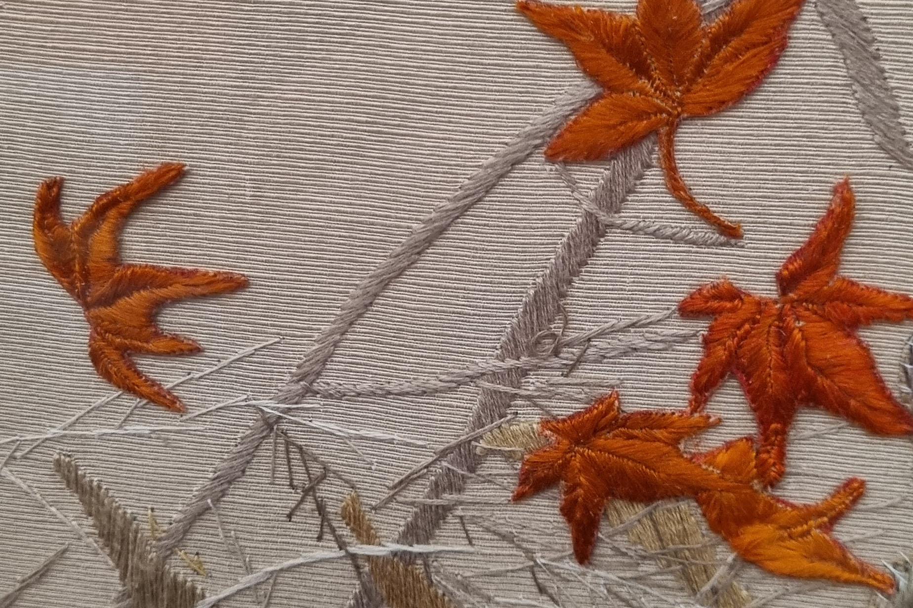 Detailed view of autumn leaves 