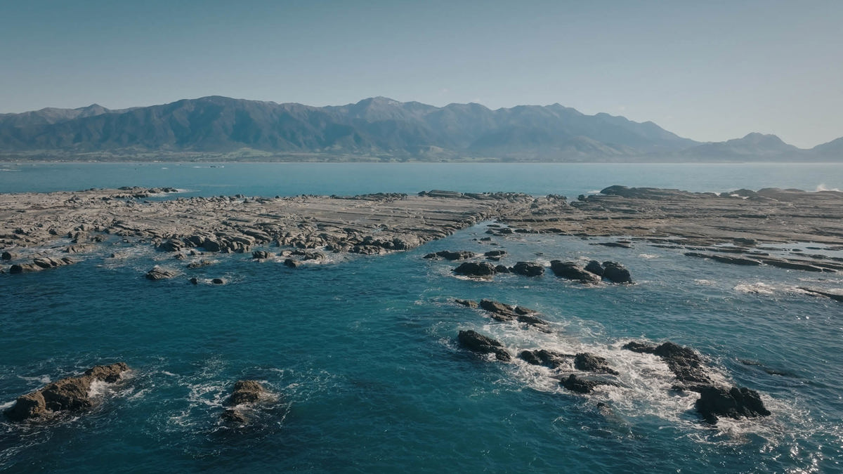 Kaikōura Peninsula Wade Mclelland (9)
