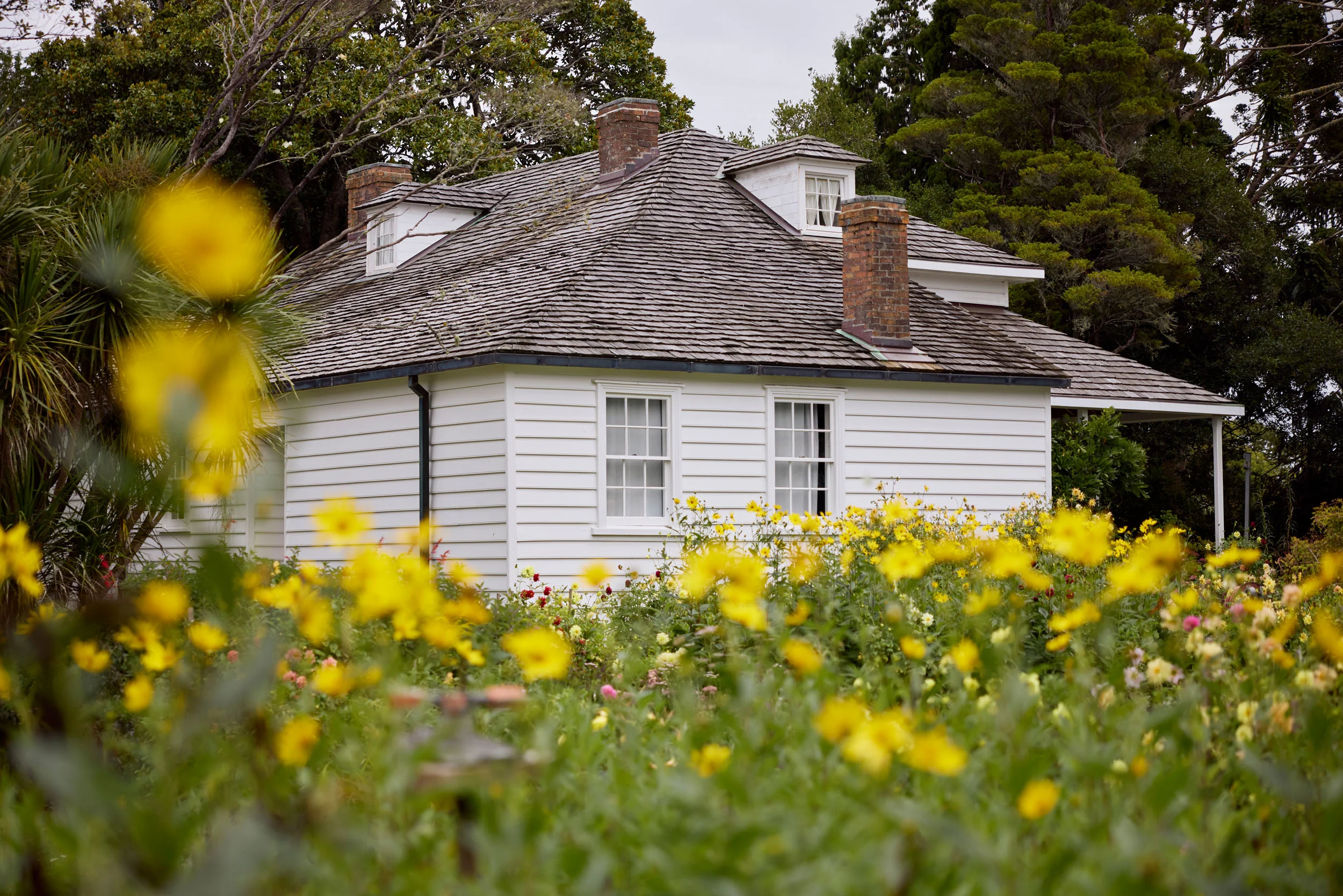 Large white colonial mission house with yellow flowers in foreground. 