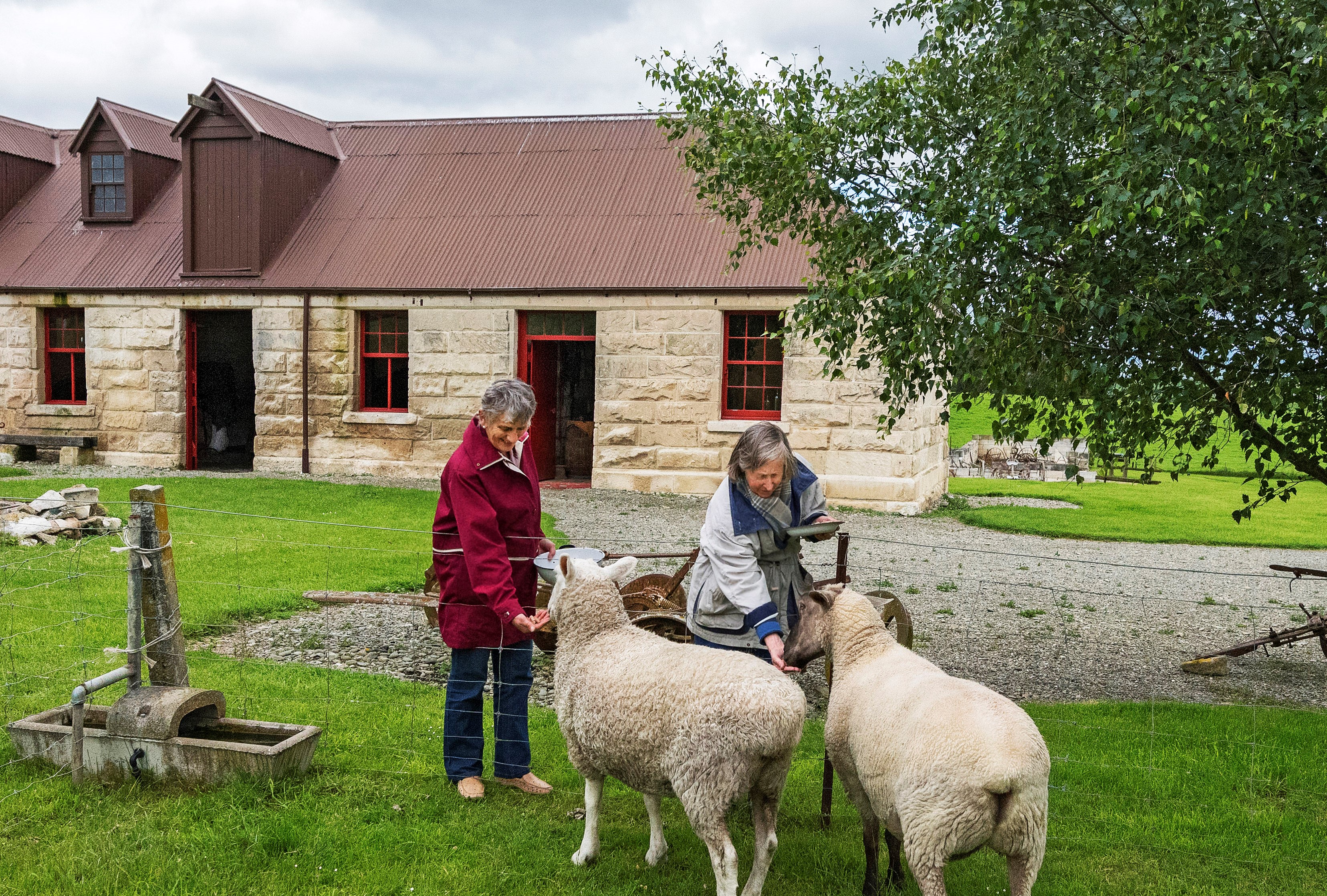 two women feed sheet, limestone farm buildings in background
