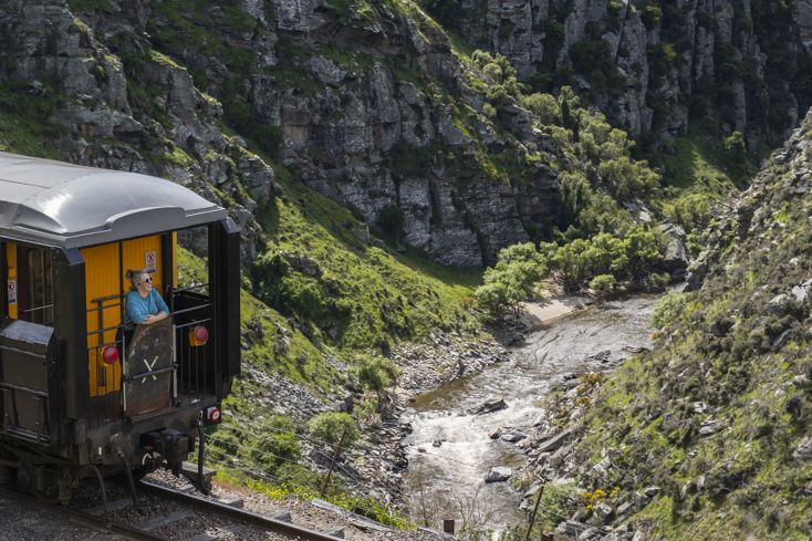 A woman at the end of a train gazes out over the Taieri Gorge.