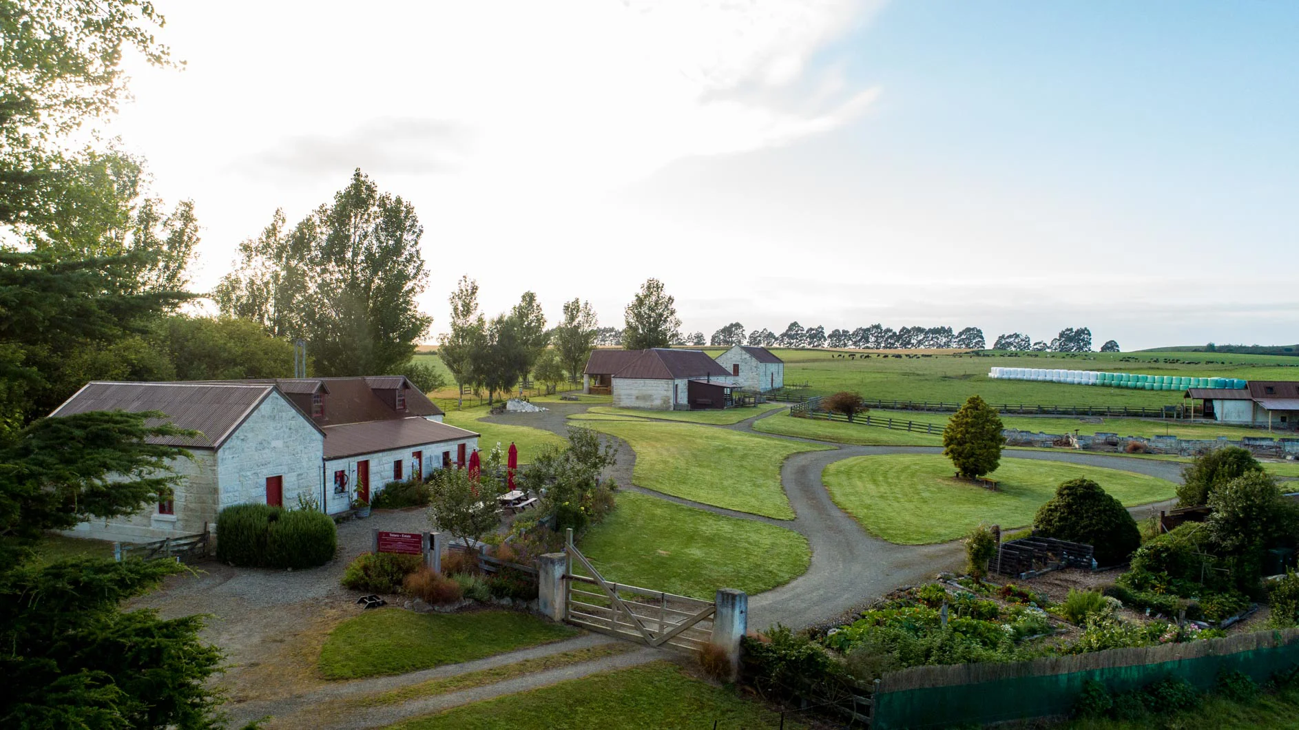 A wide shot of Totara Estate, a farmhouse and sheds on rolling green hillside