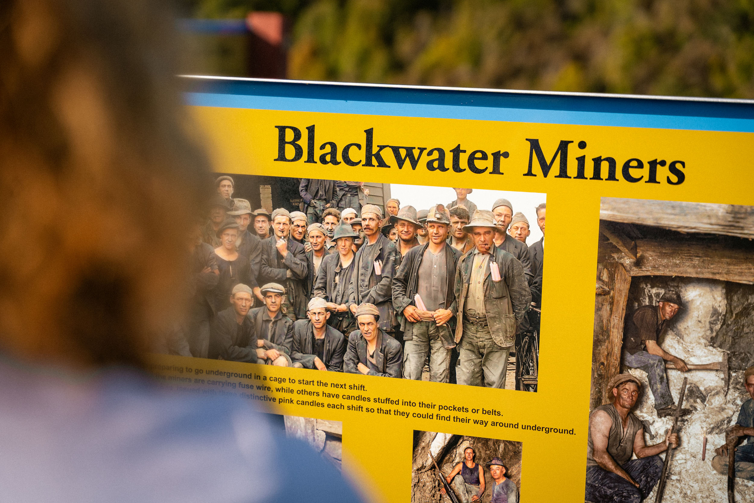 Visitor reading yellow interpretation panels at Waitua Mine site