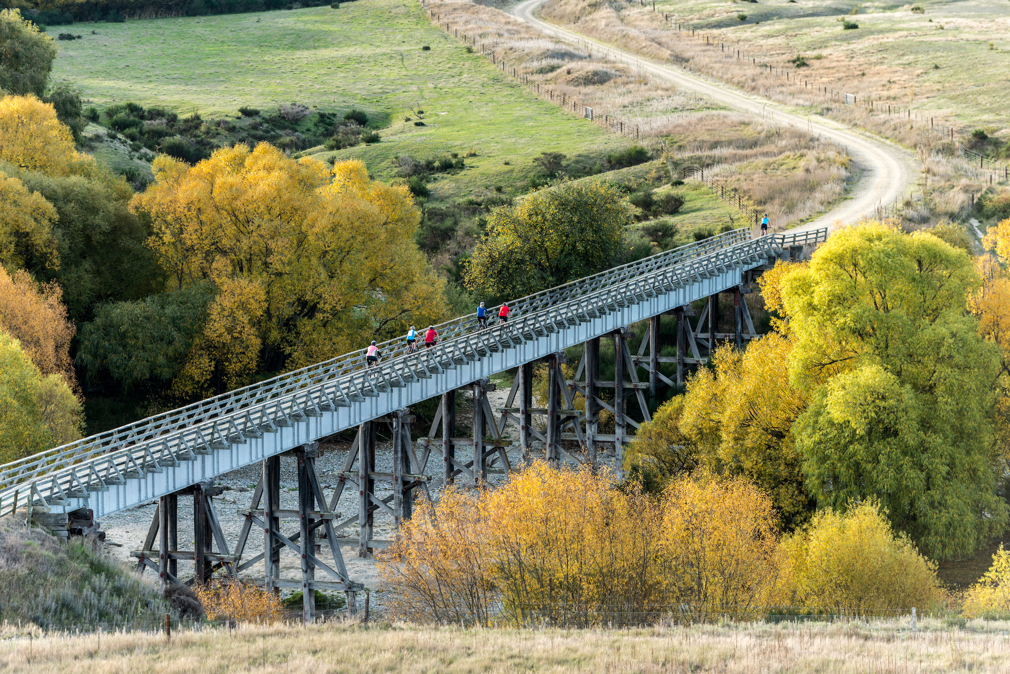 aerial view of cyclists riding across iron bridge over river, autumn trees on either side