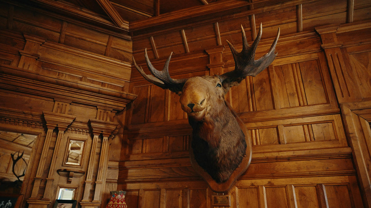 Riccarton House & Bush Wade Mclelland (2)