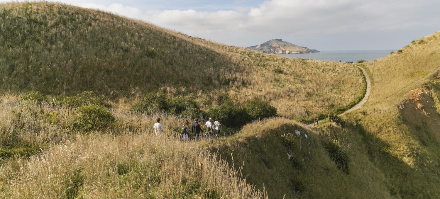 group of people walking through tussocky hill in Otago